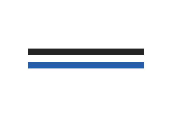 RUBBER STRIP C-080